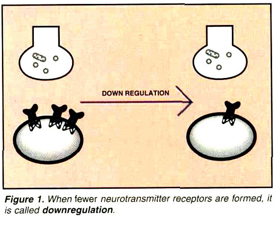 Downregulation